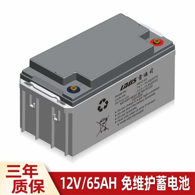 雷迪司UPS电源专用电池12V/65AH