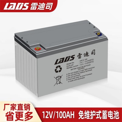 雷迪司免维护铅酸蓄电池 12V/100AH