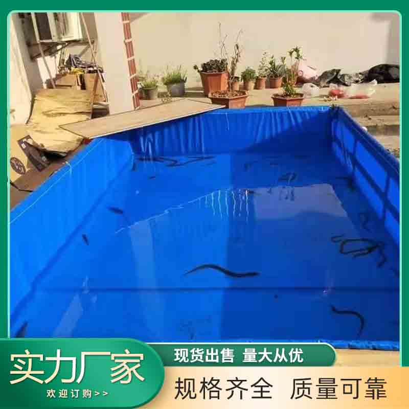 Summer beach concept