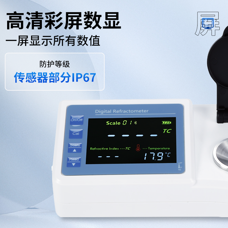 Summer beach concept