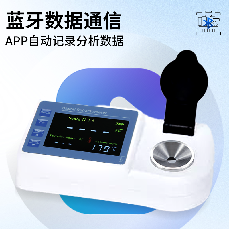 Summer beach concept