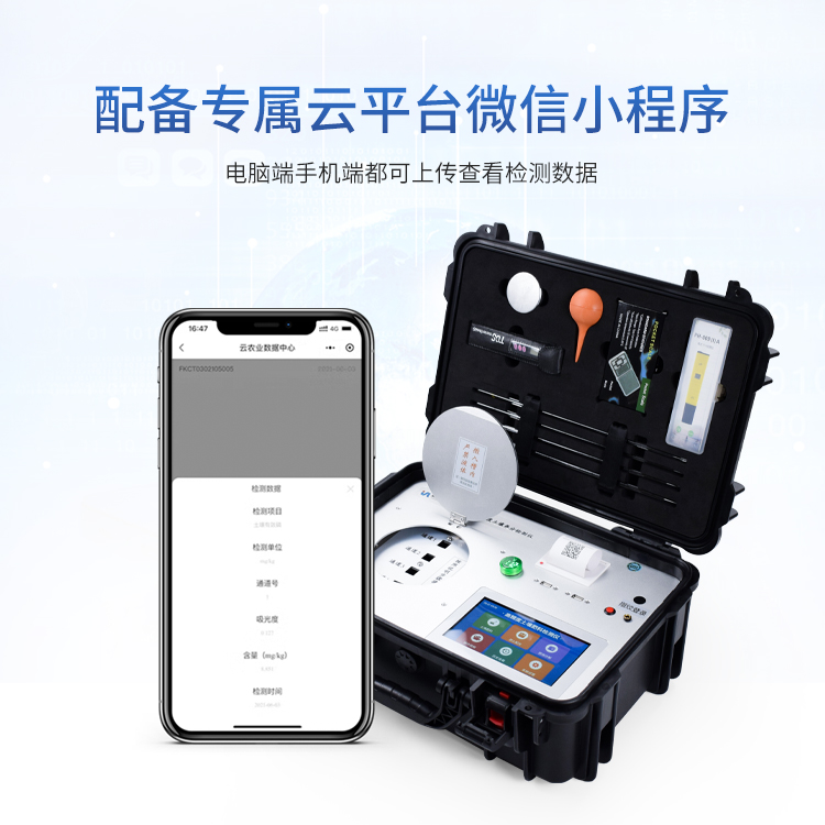 Summer beach concept