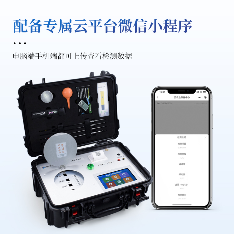 Summer beach concept