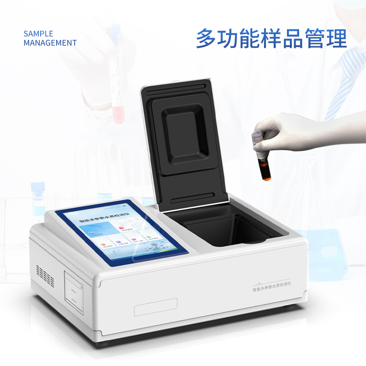 Summer beach concept