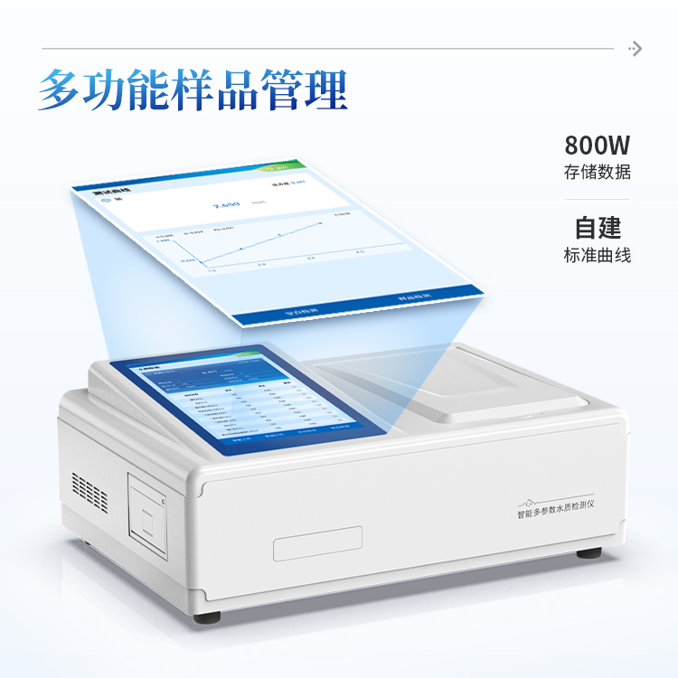 Summer beach concept