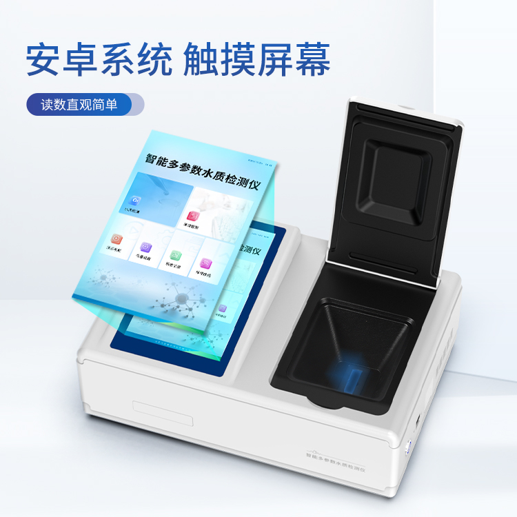 Summer beach concept