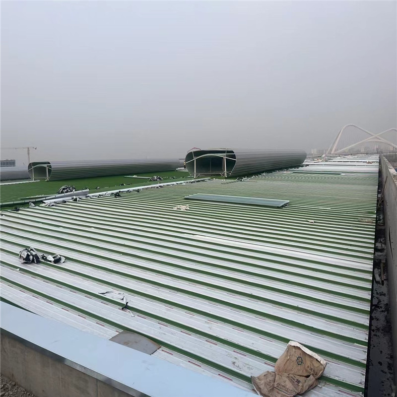 Summer beach concept