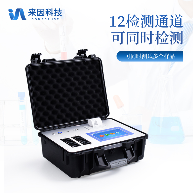 Summer beach concept