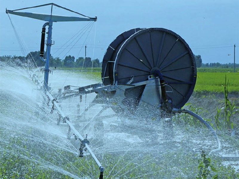 Summer beach concept
