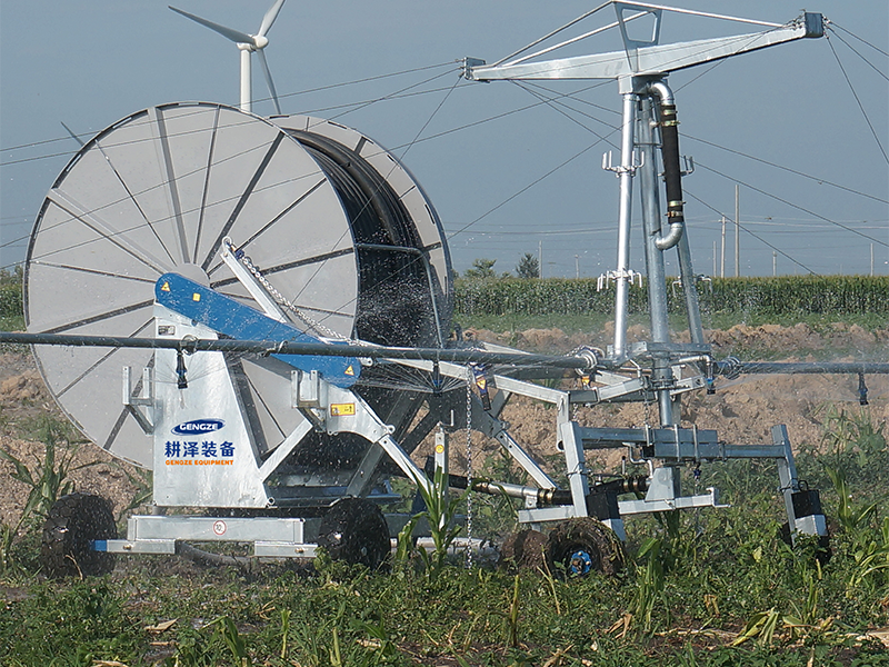 Summer beach concept