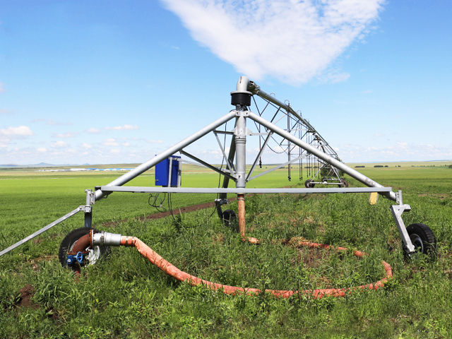 Summer beach concept