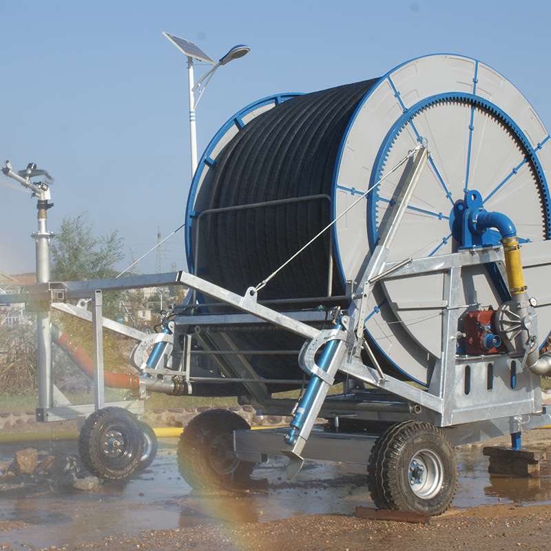 Summer beach concept