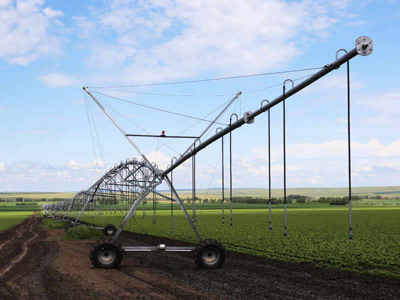 Summer beach concept