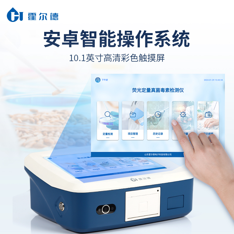 Summer beach concept