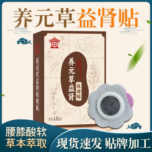 养元草益肾贴 腰痛草本贴膏现货批发穴位保健贴养元