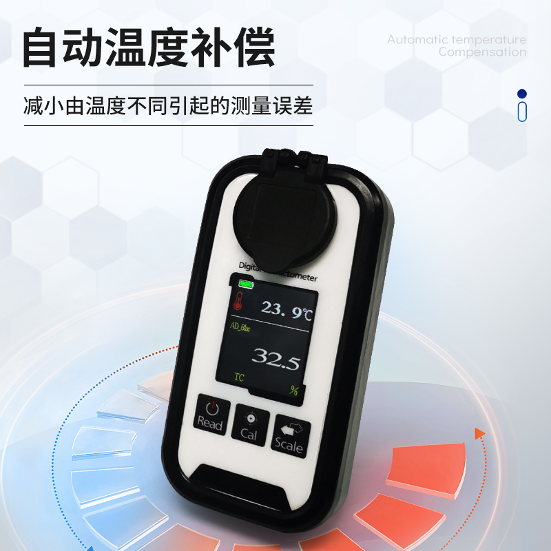 Summer beach concept