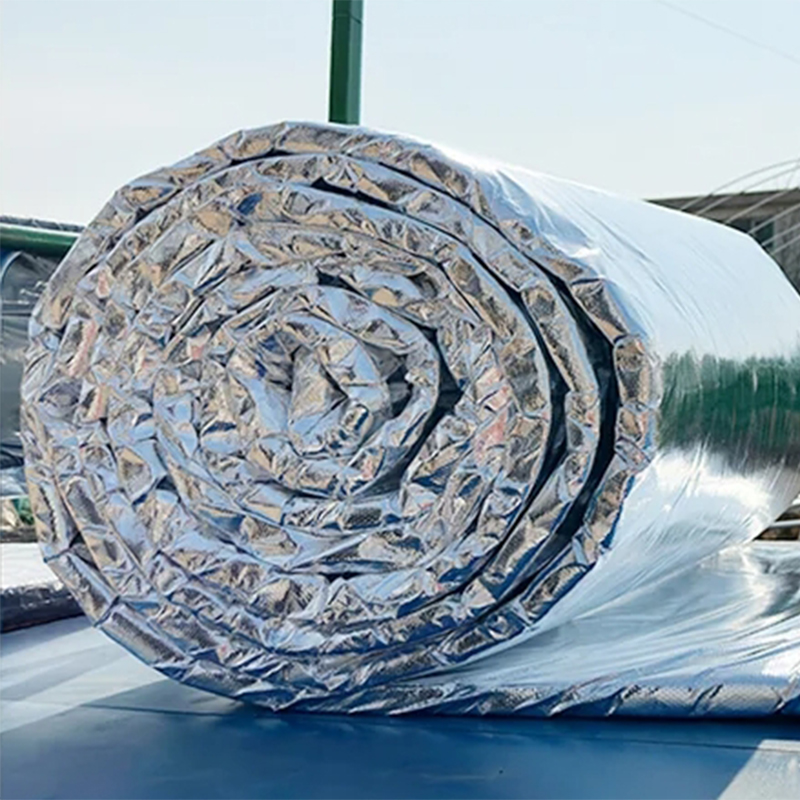 Summer beach concept