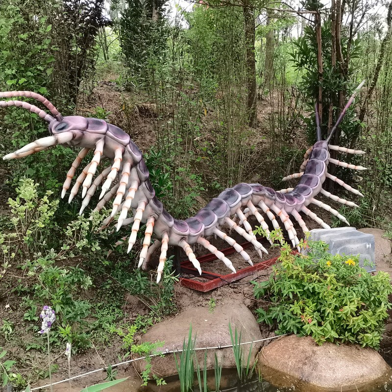 Summer beach concept