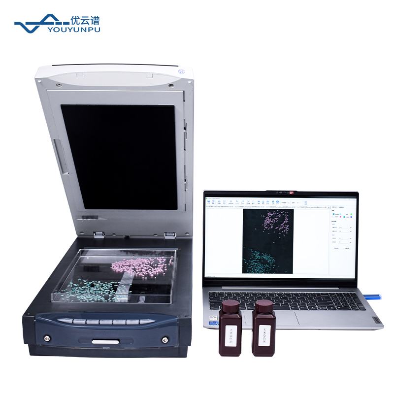 Summer beach concept