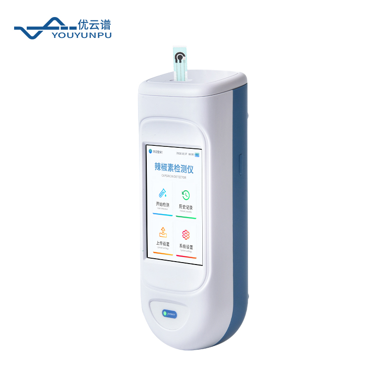 Summer beach concept