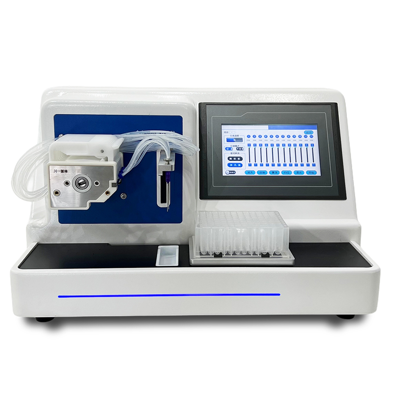 Summer beach concept