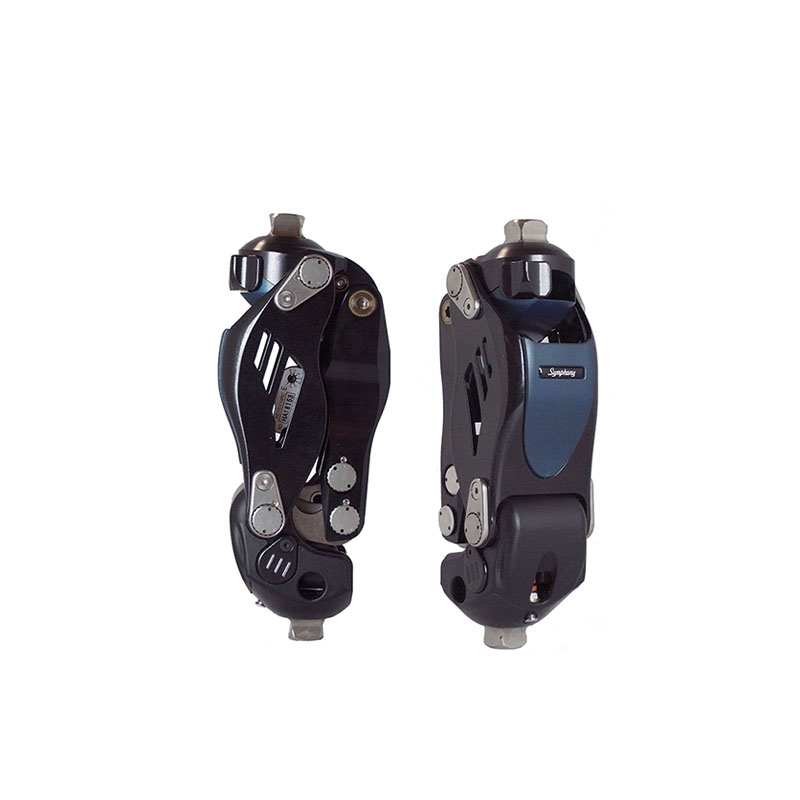 Summer beach concept