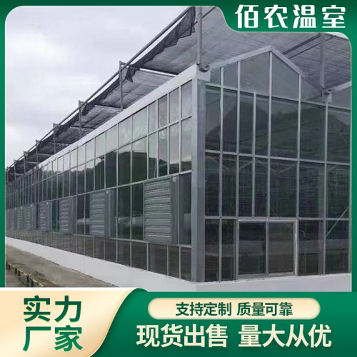 玻璃温室大棚