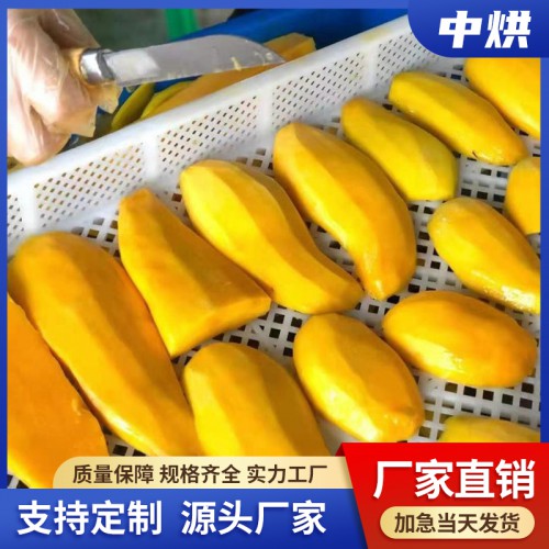 芒果烘干机
