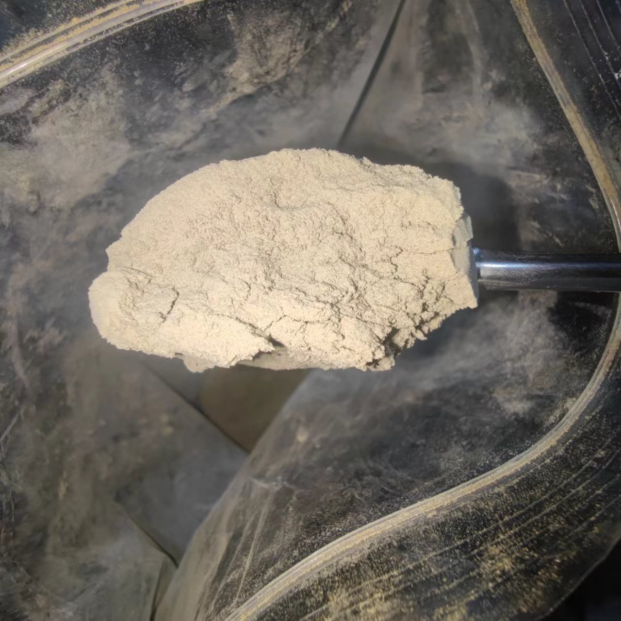 Summer beach concept