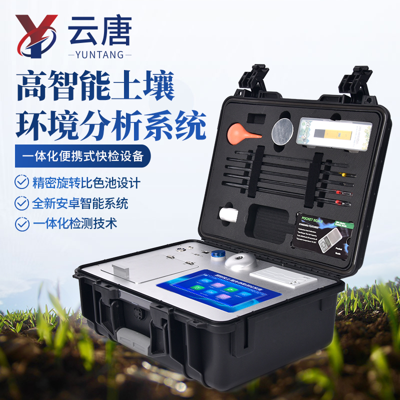 Summer beach concept