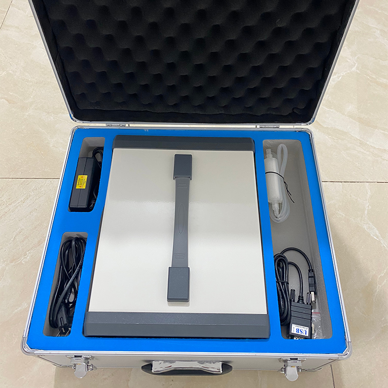 Summer beach concept