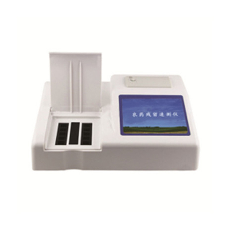 Summer beach concept