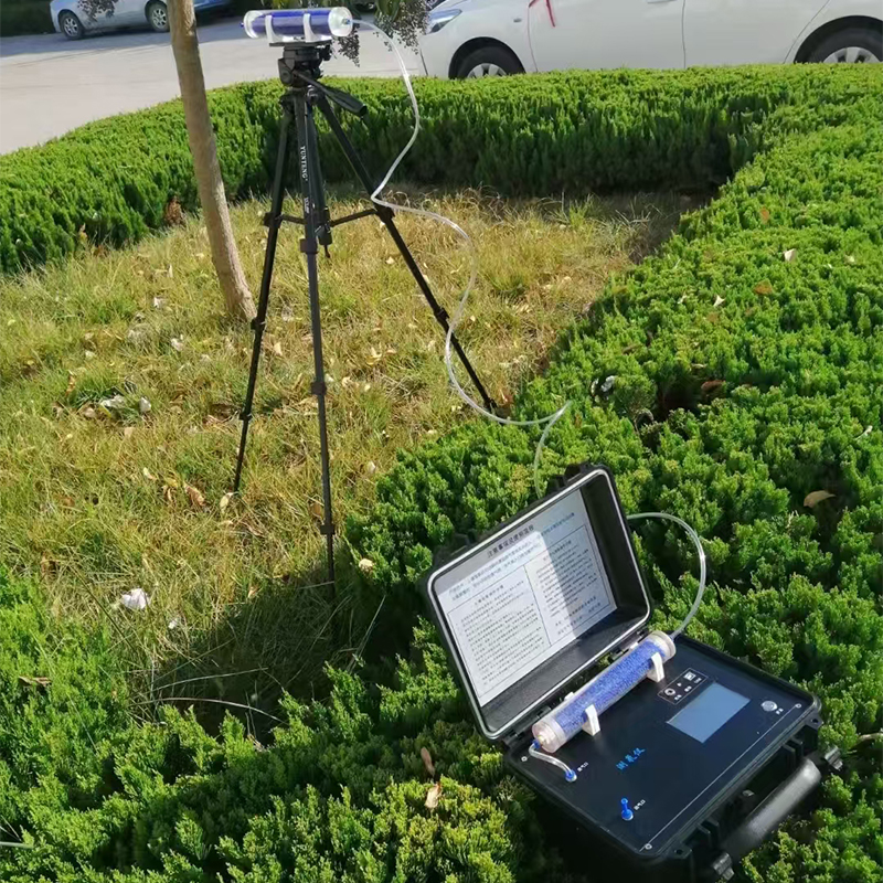 Summer beach concept