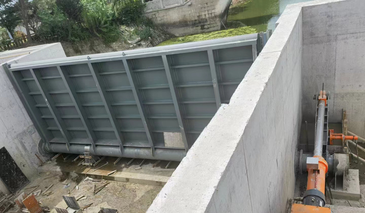 Summer beach concept