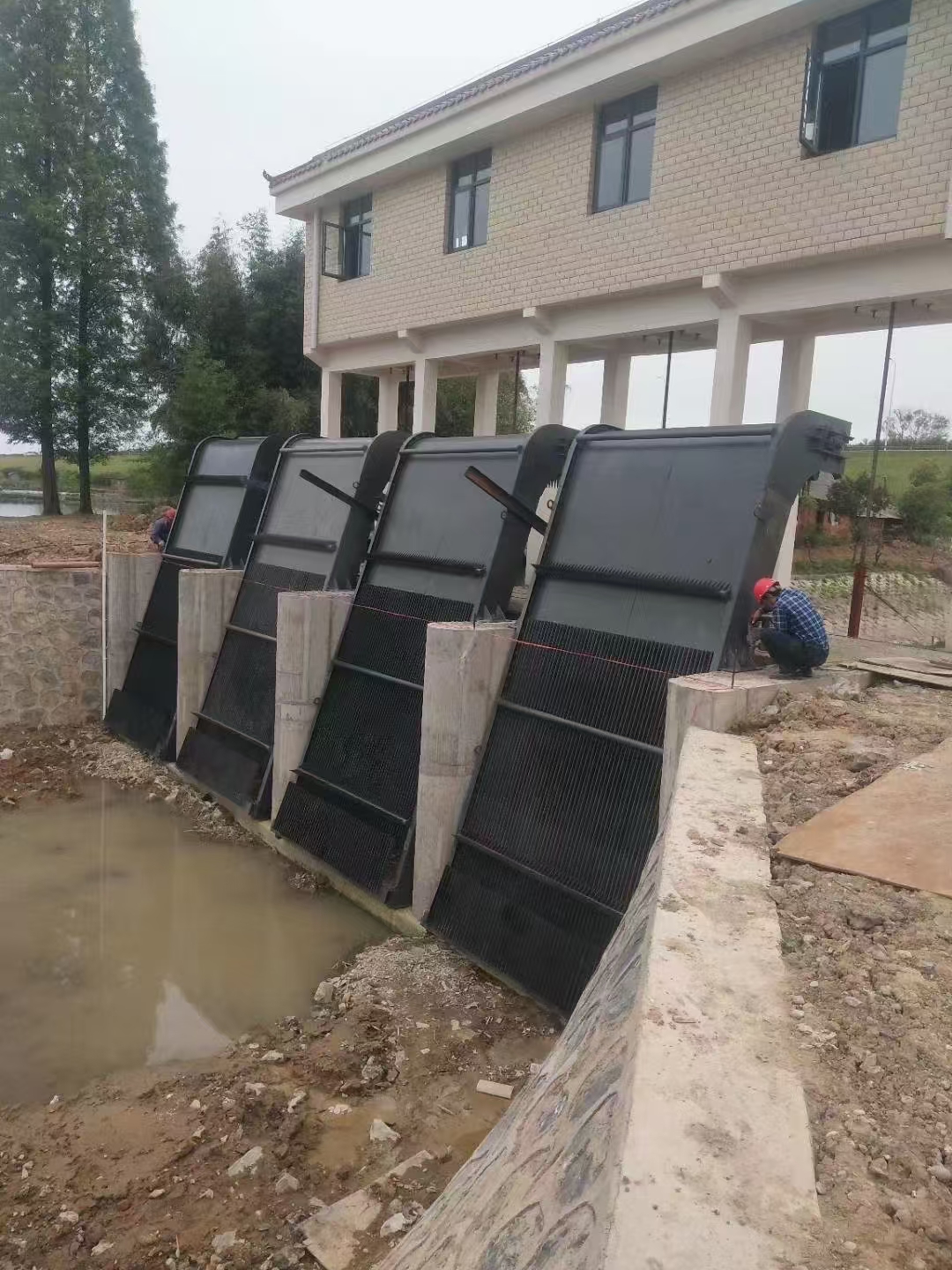 Summer beach concept