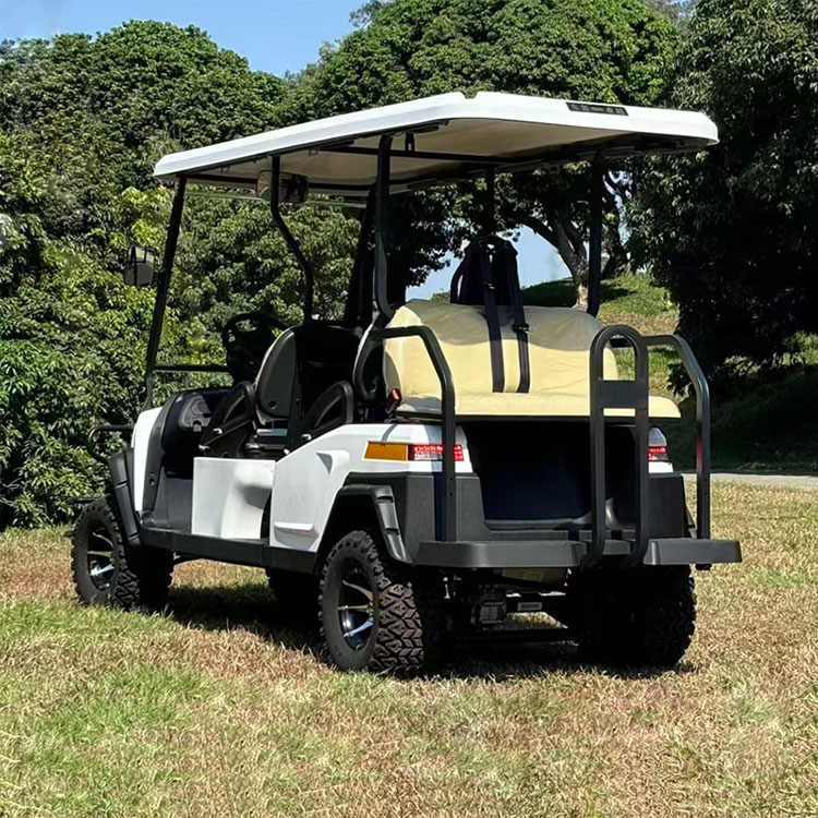 Summer beach concept