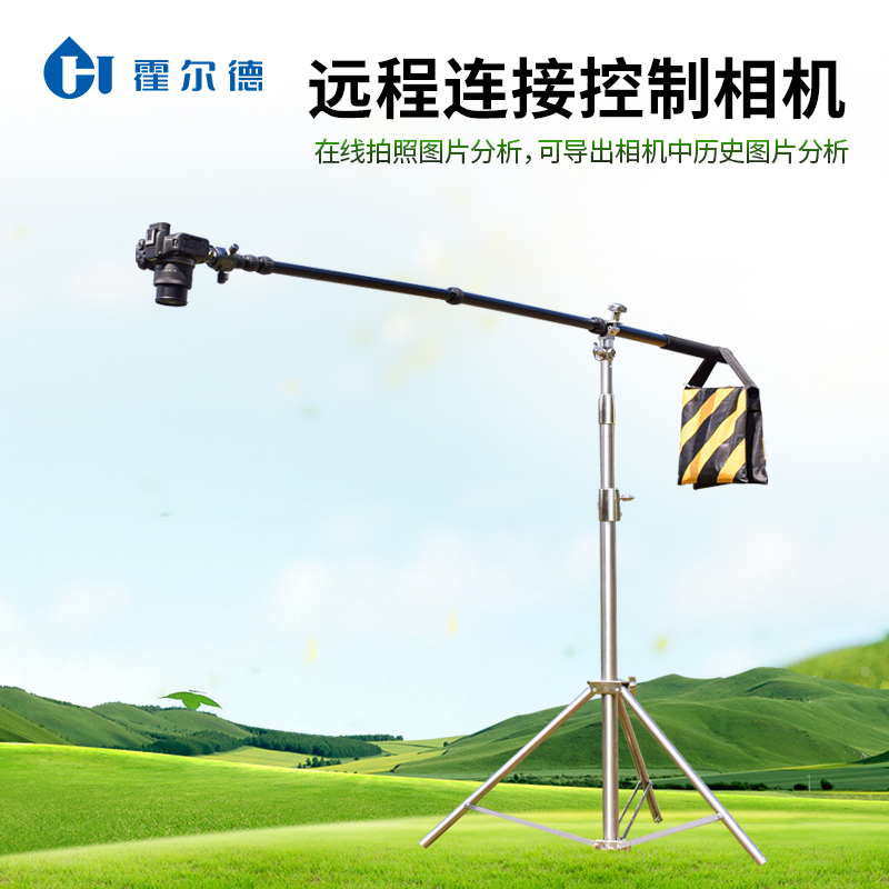 Summer beach concept