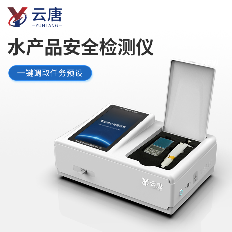 Summer beach concept