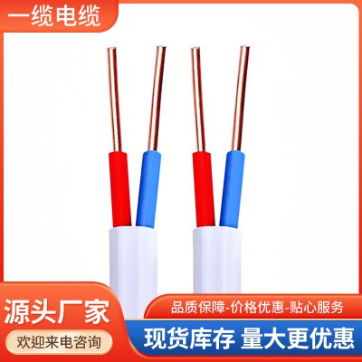 BVVB扁形护套电线